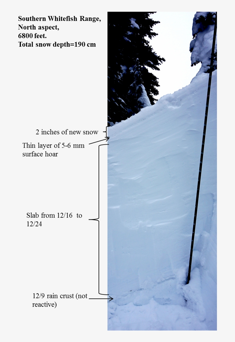 Surface Hoar - Snow, transparent png download