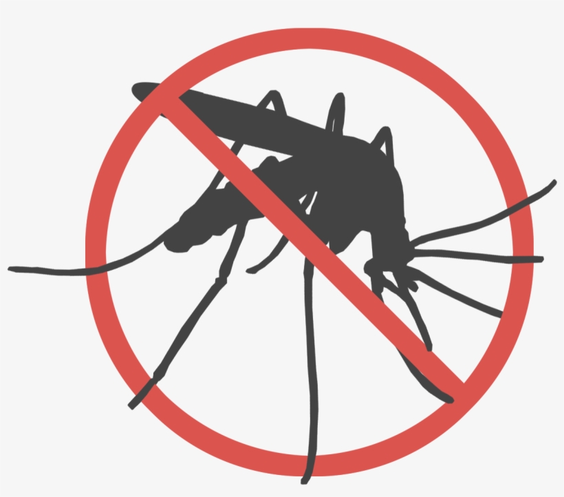 Mosquito, transparent png download
