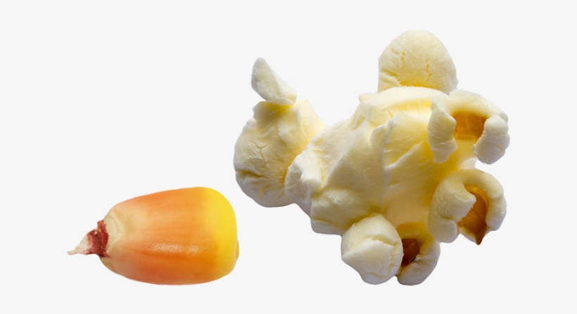Las Palomitas De Maíz Son, En Origen, Un Beneficioso - Great Northern Popcorn 2-pack Organic Yellow Gourmet, transparent png download