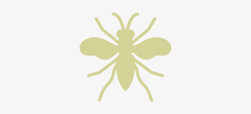 Mosquito And Tick Control - Wasp, transparent png download