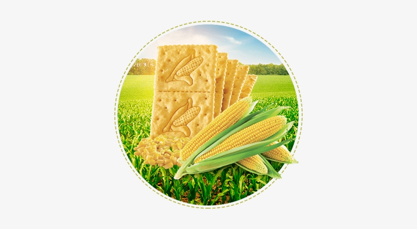 Galletas Saltin Noel Maiz 3 Tacos - Anatomy Of Life And Energy In Agriculture [book], transparent png download