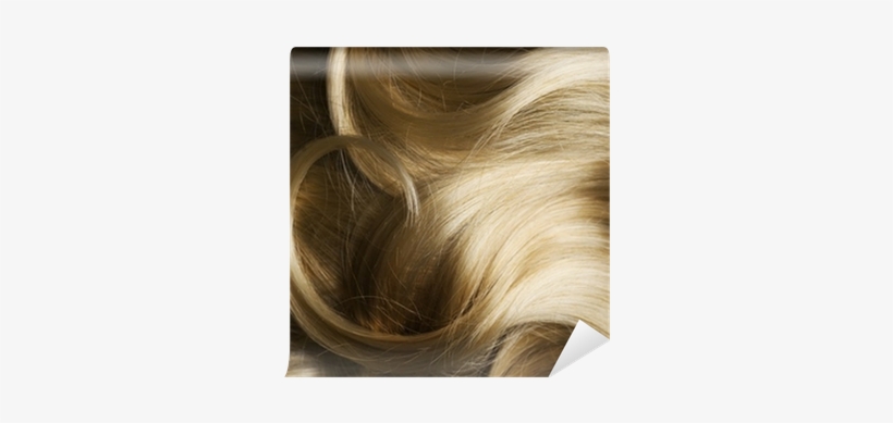 Hair, transparent png download