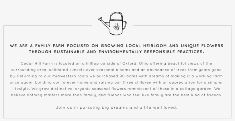 About-graphic - Document, transparent png download