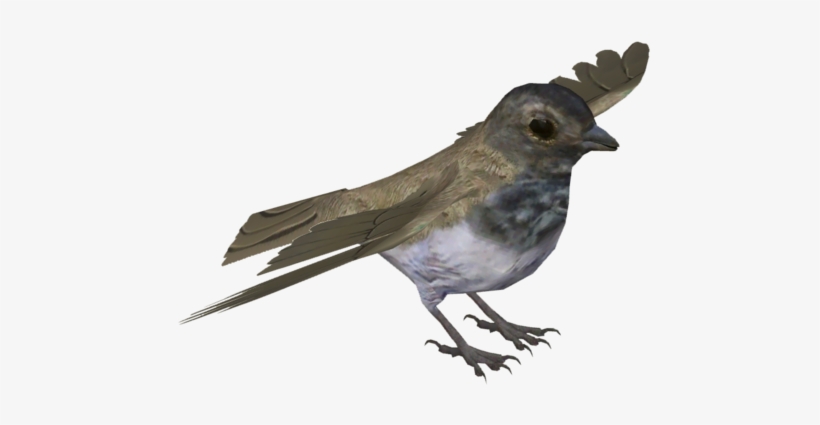 Mangrove Finch - Finch Transparent, transparent png download