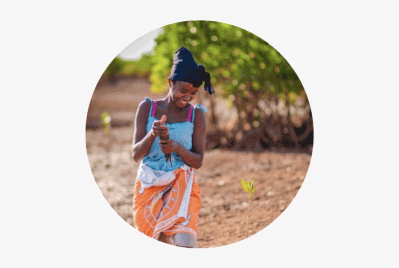 Original Size Is 500 × 502 Pixels - Water, transparent png download