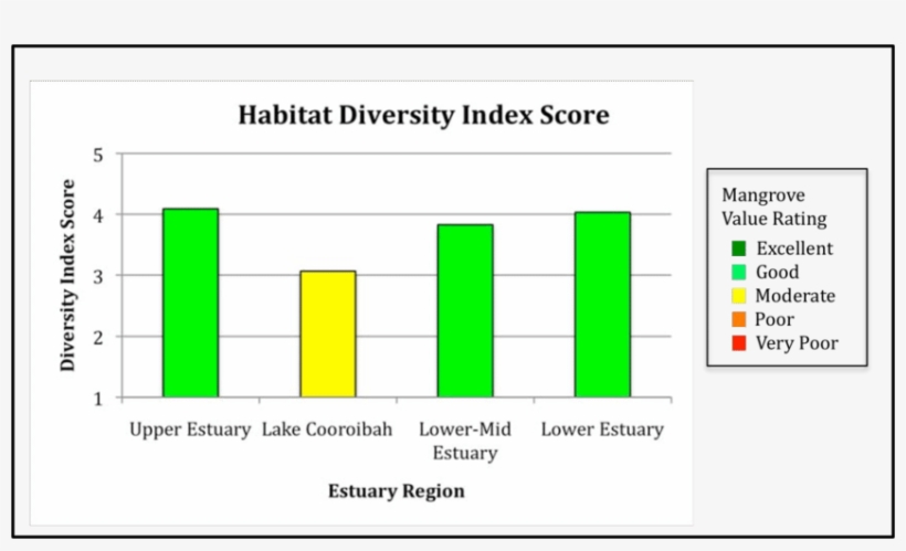 Shoreline Mangrove Habitat Diversity In Each Of The - Noosa River, transparent png download