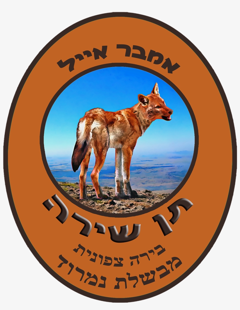Singing Jackal Amber Ale - Gesangjackal-bernstein-ale Grußkarte, transparent png download