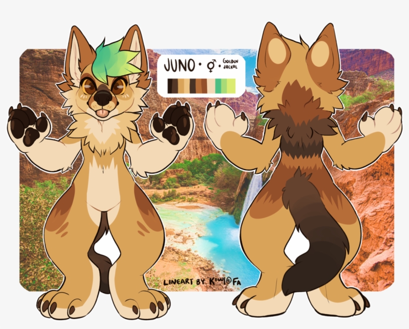 Juno The Jackal - Havasu Falls, transparent png download