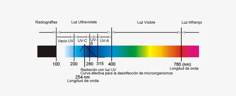 En Este Rango De Onda, La Luz Uv Atraviesa La Pared - Electromagnet, transparent png download