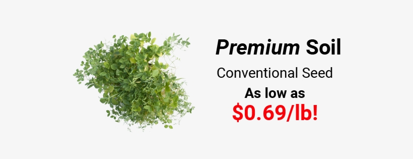 Soil Building Cover Crop Mixes - Green Project Th-ce505a Compatible Hp Ce505a Black, transparent png download