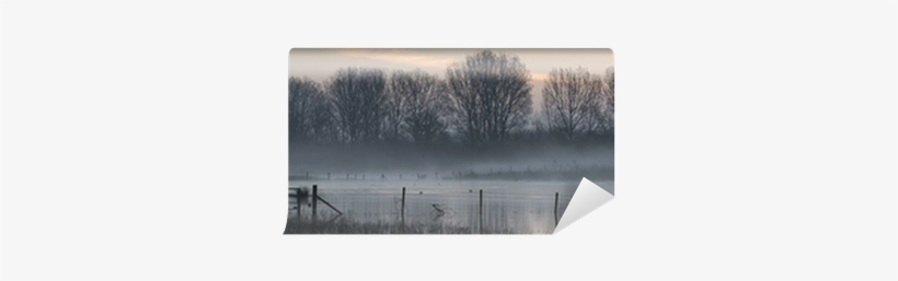 Panorama Landscape Of Lake In Mist With Sun Glow At - Poster: Veneratio's Panorama Landscape Of Lake In Mist, transparent png download