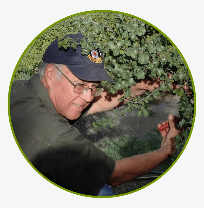 Garden Q&a With Lee Gordon, Member Of Cnps San Diego - Grass, transparent png download