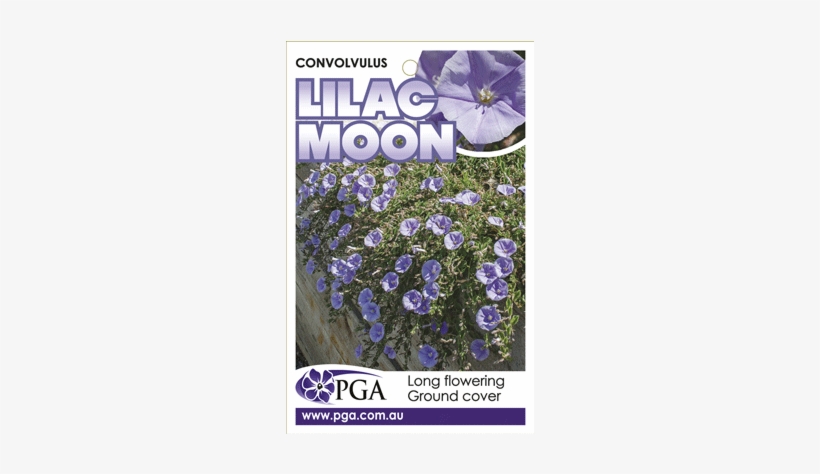 Find A Supplier - Wall, transparent png download