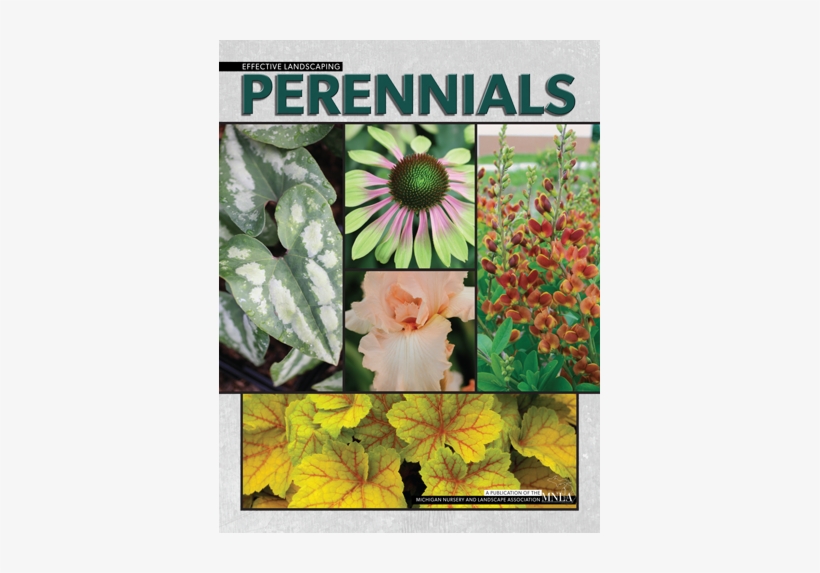 Perennials & Woody Ornamentals Booklets Available - Mountain Garland, transparent png download
