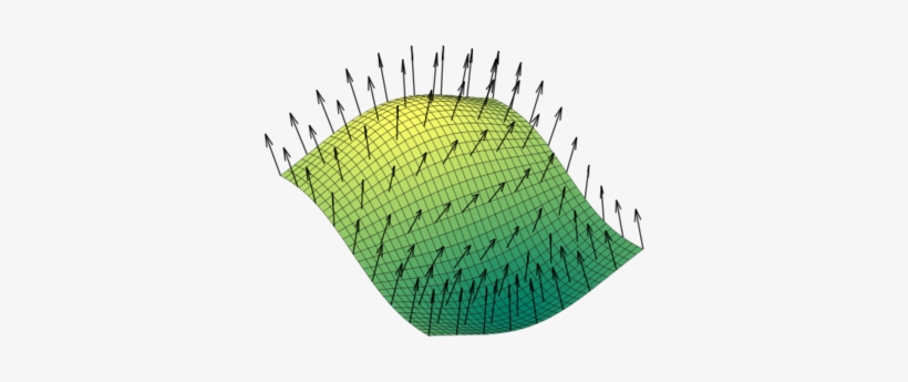 A Vector Field Of Normals On A Surface - Flujo Magnetico, transparent png download