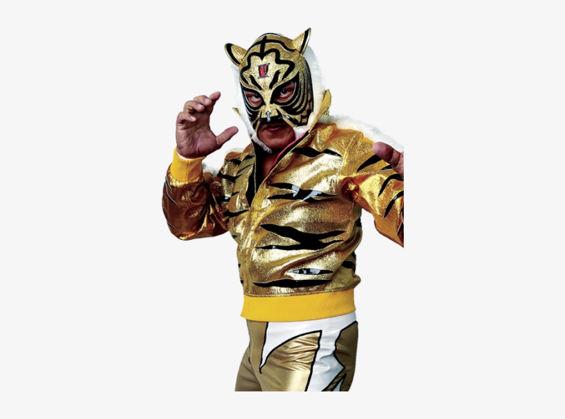 Tiger Mask - Tiger Mask Iv Png, transparent png download