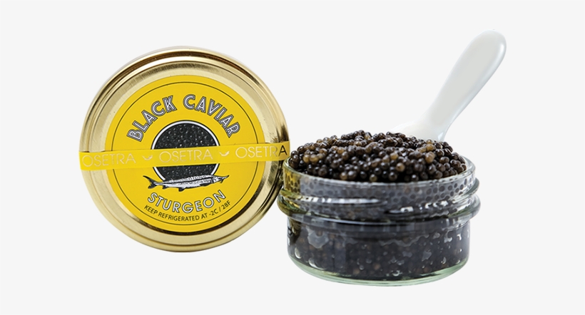 Sturgeon Caviar - Caviar Png Transparent, transparent png download