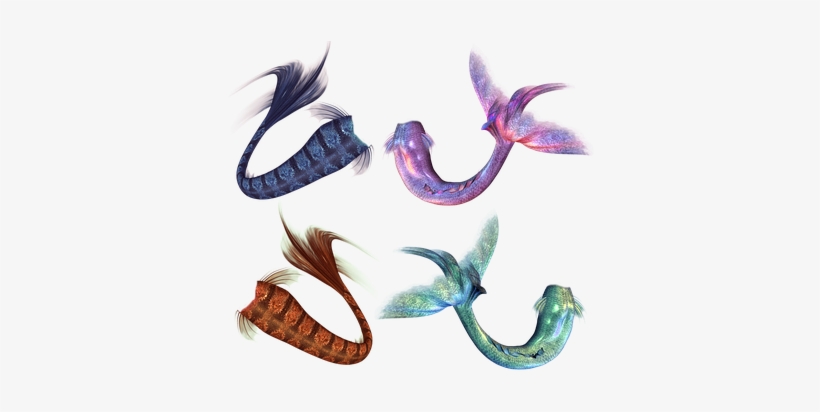 Mermaid, Mermaids, Tail, Fantasy - Mermaid, transparent png download