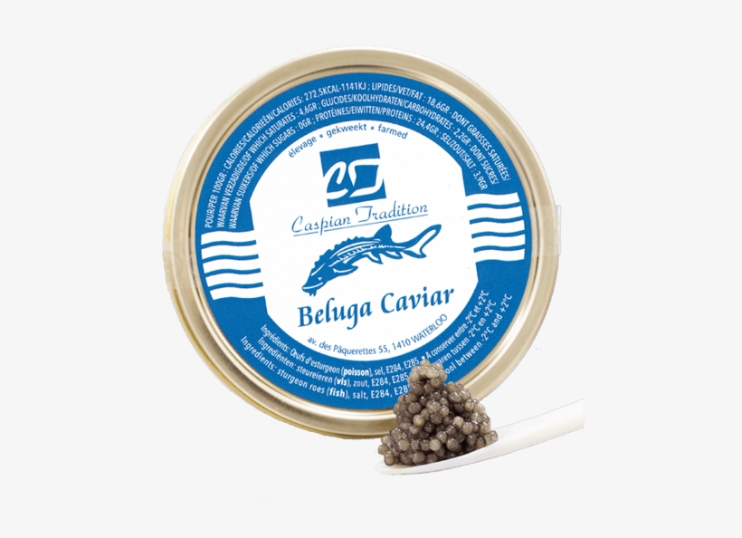 Beluga, transparent png download