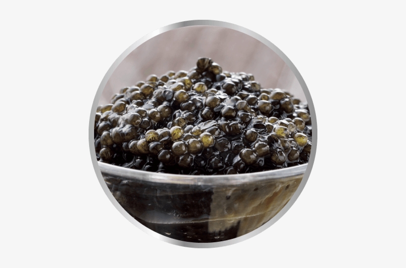 Caviar, transparent png download