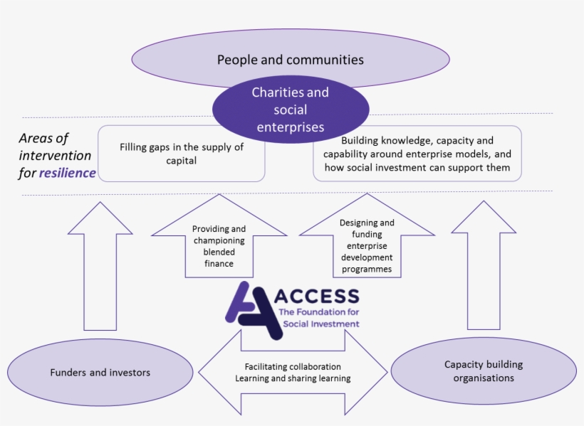 This Happens Directly Through Our Own Programmes Of - Diagram, transparent png download