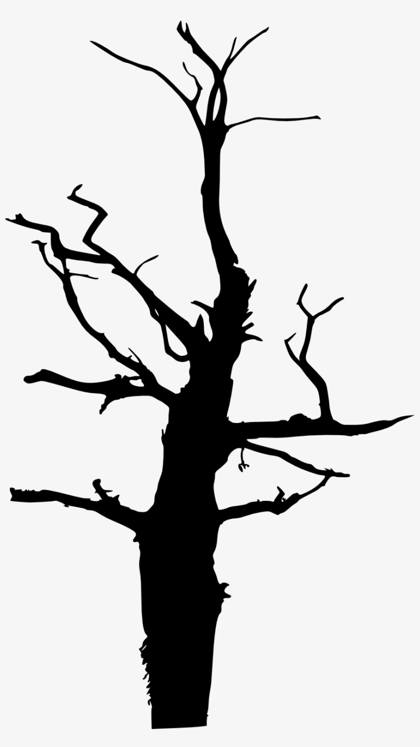 17 Dead Tree Silhouette - Silhouette, transparent png download