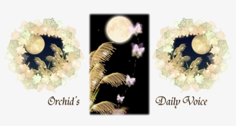 I've Already Posted About Harvest Moon And Super Moon - Floral Design, transparent png download