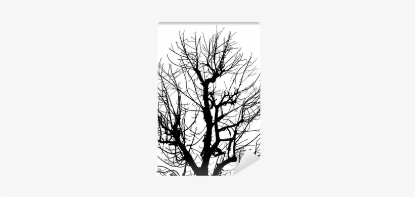 Silhouette Dead Tree On Isolated White Background Wall - Tree, transparent png download