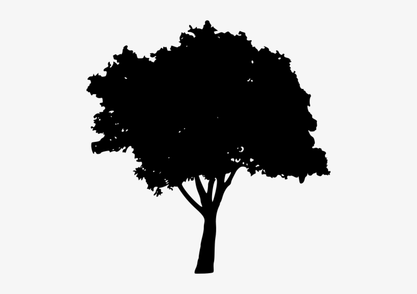 Dead Tree Silhouette Png Toppng - Peach Tree Silhouette, transparent png download