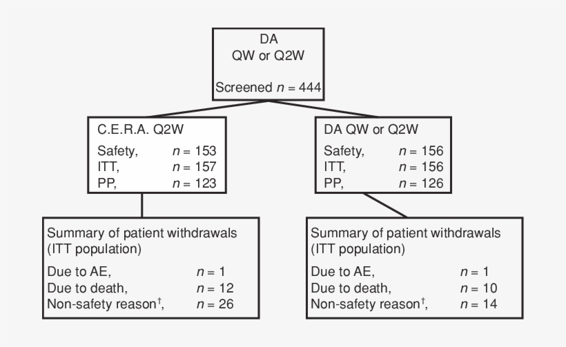 Non-safety Reasons Were Kidney Transplantation , Refusal - Diagram, transparent png download