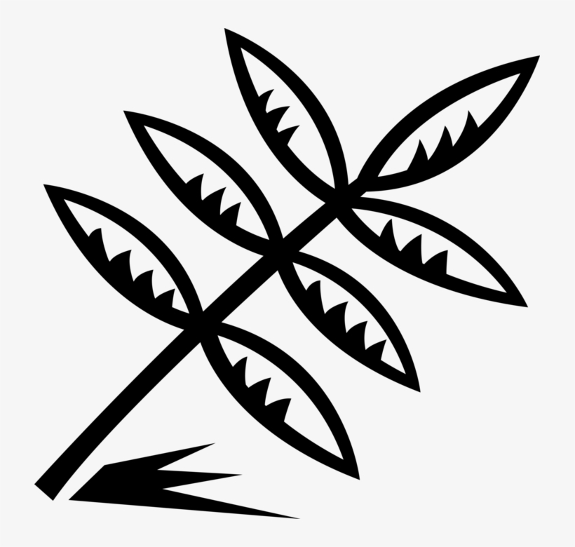 Vector Illustration Of Tree Branch With Leaves, transparent png download