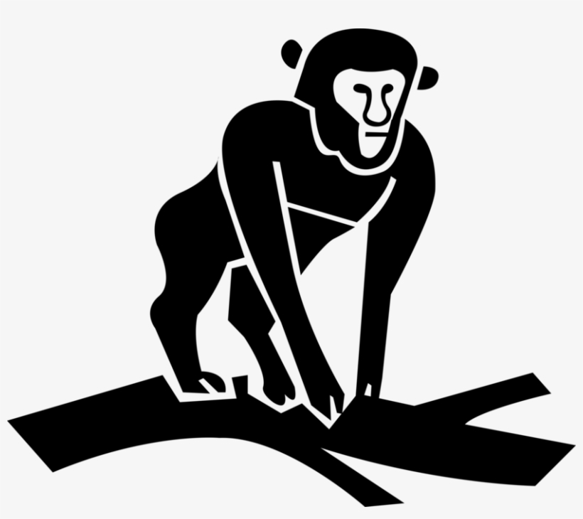 Vector Illustration Of Primate Monkey Ape On Tree Branch, transparent png download