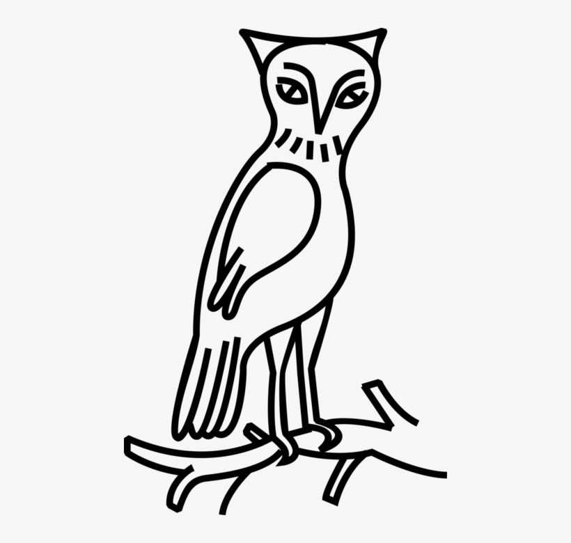 Vector Illustration Of Owl Nocturnal Bird Of Prey Stands - Eastern Screech Owl, transparent png download