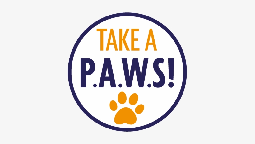 Anyone Can Use The Puppy Contract - Mckenna I Can Make You, transparent png download