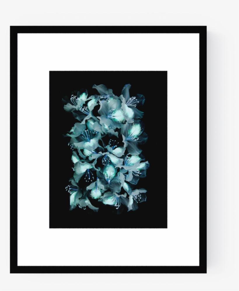 Photo Azalée - Michel Gantner - Photograph, transparent png download