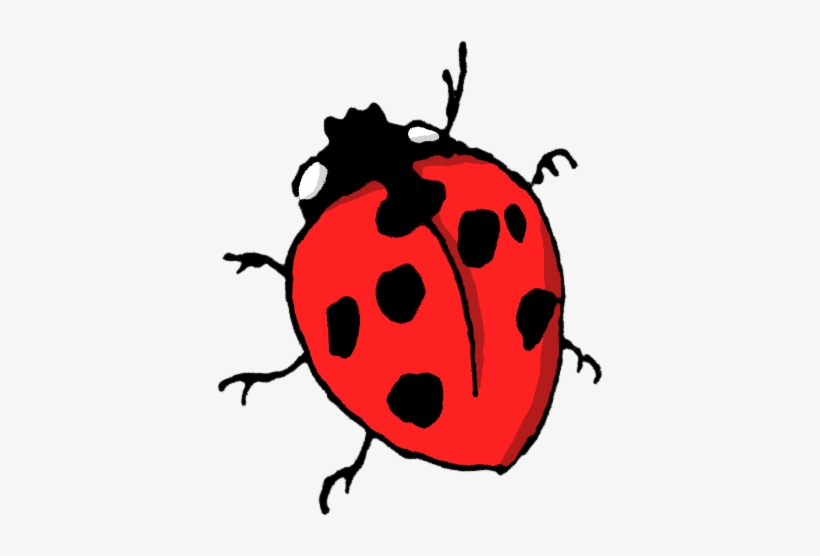 Animals/ Insects/ Cartoon/ Ladybug-2 - Animals Insect Cartoon Png, transparent png download