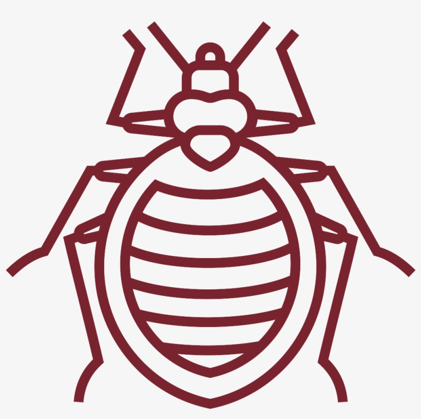 Crawling Insects - Illustration, transparent png download