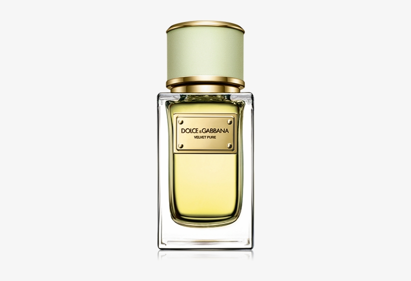 Velvet Pure, Fresh Floral Perfume For Women - Dolce Gabbana Perfumes Velvet, transparent png download