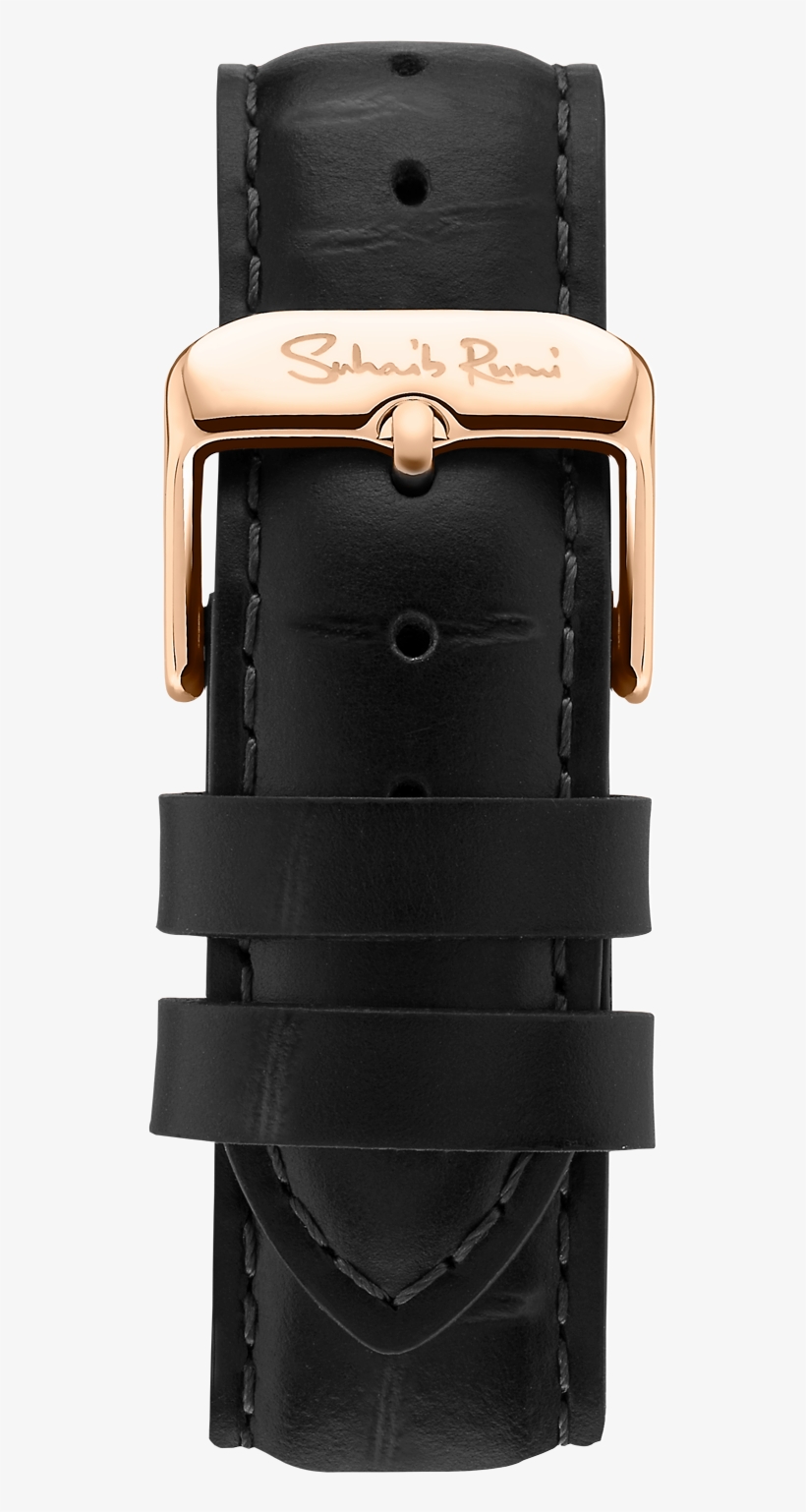 Crocodile - Watch, transparent png download