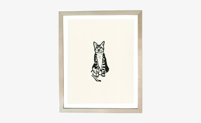 Tabby Cat - Black Cat, transparent png download