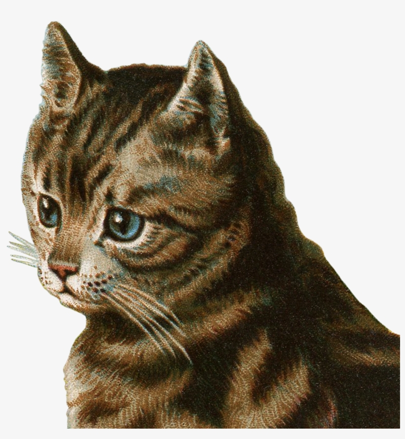 18 Tabby Side Graphicsfairy - 3drose Llc 8 X 8 X 0.25 Inches Mouse Pad, Cute Grey, transparent png download