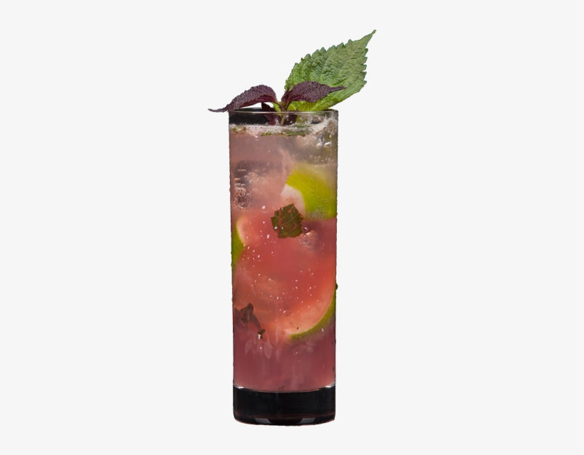 Mojito, transparent png download