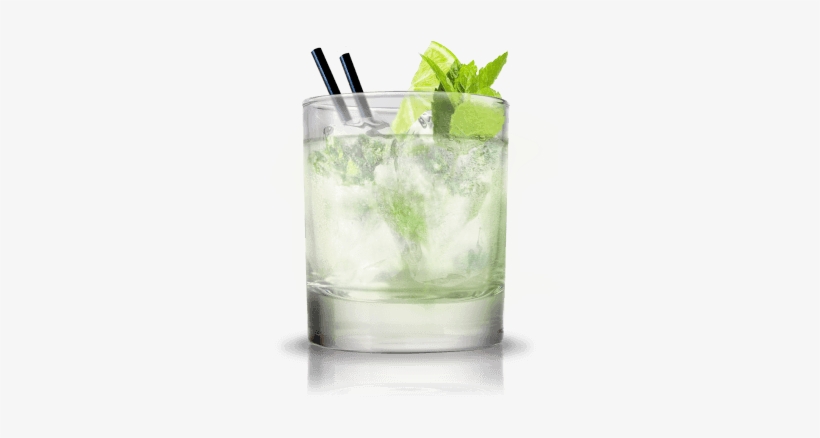 Turtle Time - Ambassador Cocktail, transparent png download