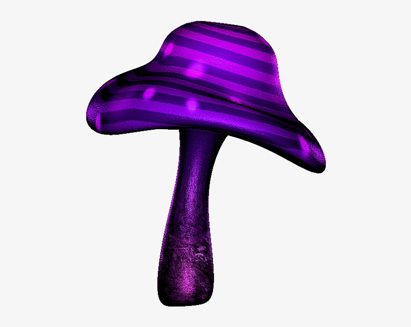 Shrooms ‿✿⁀°••○ - .net, transparent png download