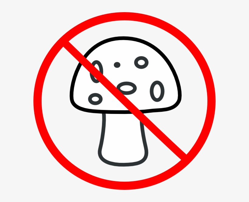 Small - Say No To Shrooms, transparent png download