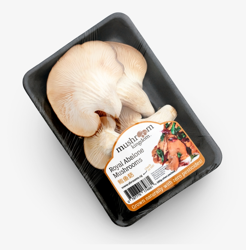Order Yours Now - Oyster Mushroom, transparent png download