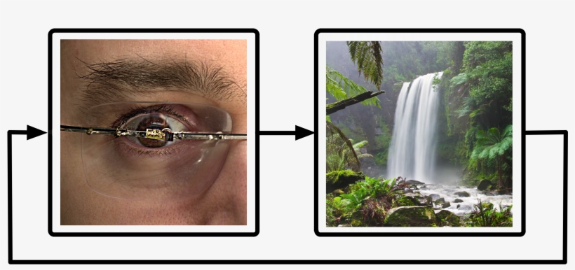 We're All Cyborgs In Some Sense Shoes, Clothing We - Hopetoun Falls Shower Curtain, transparent png download