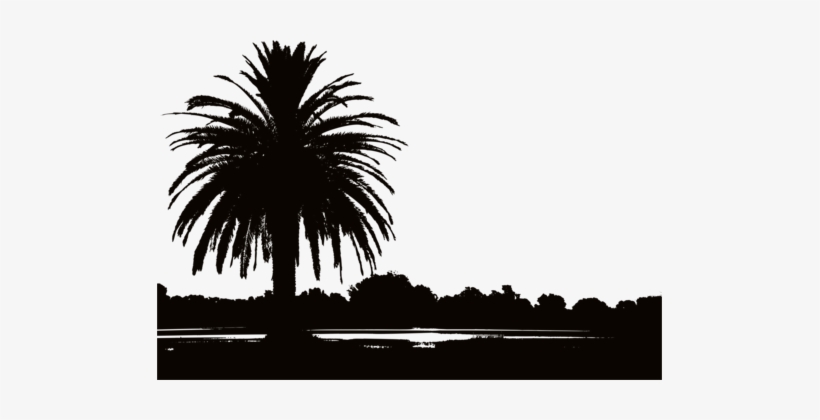 Silhouette Landscape Photography Landscape Design Sunset - Sunset Silhouette Palm Trees, transparent png download