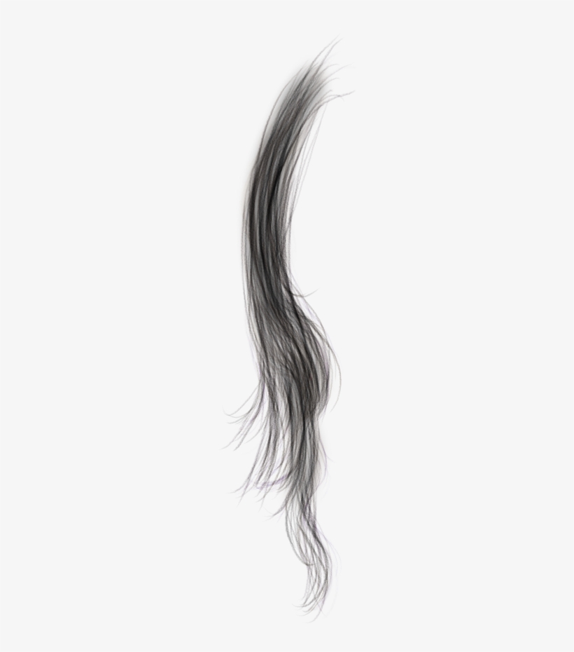 download-png-pelo-de-colores-pelo-png-hd-transparent-png-nicepng