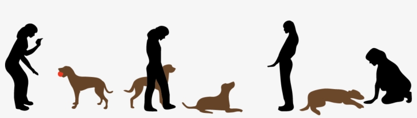 Ann Savoy Dog Training - Braque Du Bourbonnais Training Guide Braque Du Bourbonnais, transparent png download